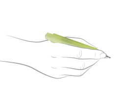 Kaweco Frosted Sport Fine Lime Ballpoint Pen