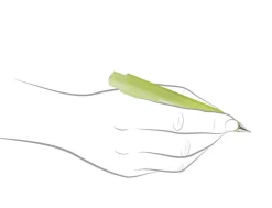 Kaweco Frosted Sport Fine Lime Push Pencil