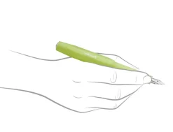 Kaweco Frosted Sport Fine Lime Fountain Pen