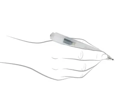 Kaweco Frosted Sport Natural Coconut Ballpoint Pen