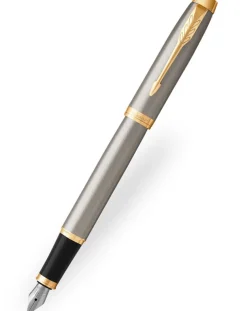 Parker IM Brushed Metal Gold Trim Fountain Pen