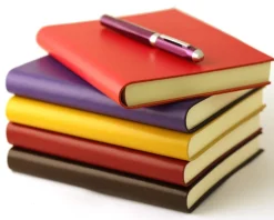Sorrento Medium Leather Journal