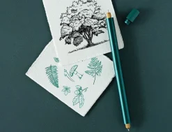 Tom's Studio Lumos Ivy Duo Tip Refillable Fineliner & Brush Pen