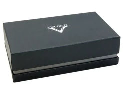 Visconti Rembrandt Red Fountain Pen