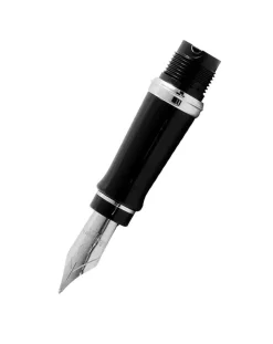 Waterman Expert Fountain Pen Nib - Chrome