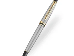 Waterman Expert Stainless Steel Gold Trim Fountain Pen