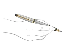 Waterman Expert Stainless Steel Gold Trim Fountain Pen