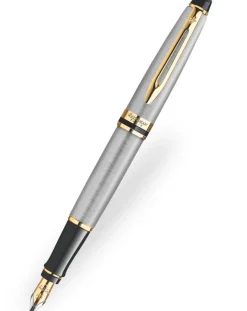 Waterman Expert Stainless Steel Gold Trim Fountain Pen