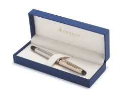 Waterman Expert Stainless Steel Gold Trim Fountain Pen