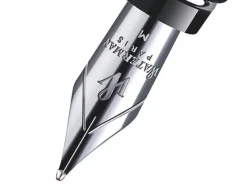 Waterman Expert Stainless Steel Chrome Trim Fountain Pen
