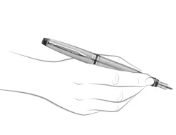 Waterman Expert Stainless Steel Chrome Trim Fountain Pen