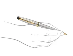 Waterman Expert Stainless Steel Gold Trim Ballpoint Pen
